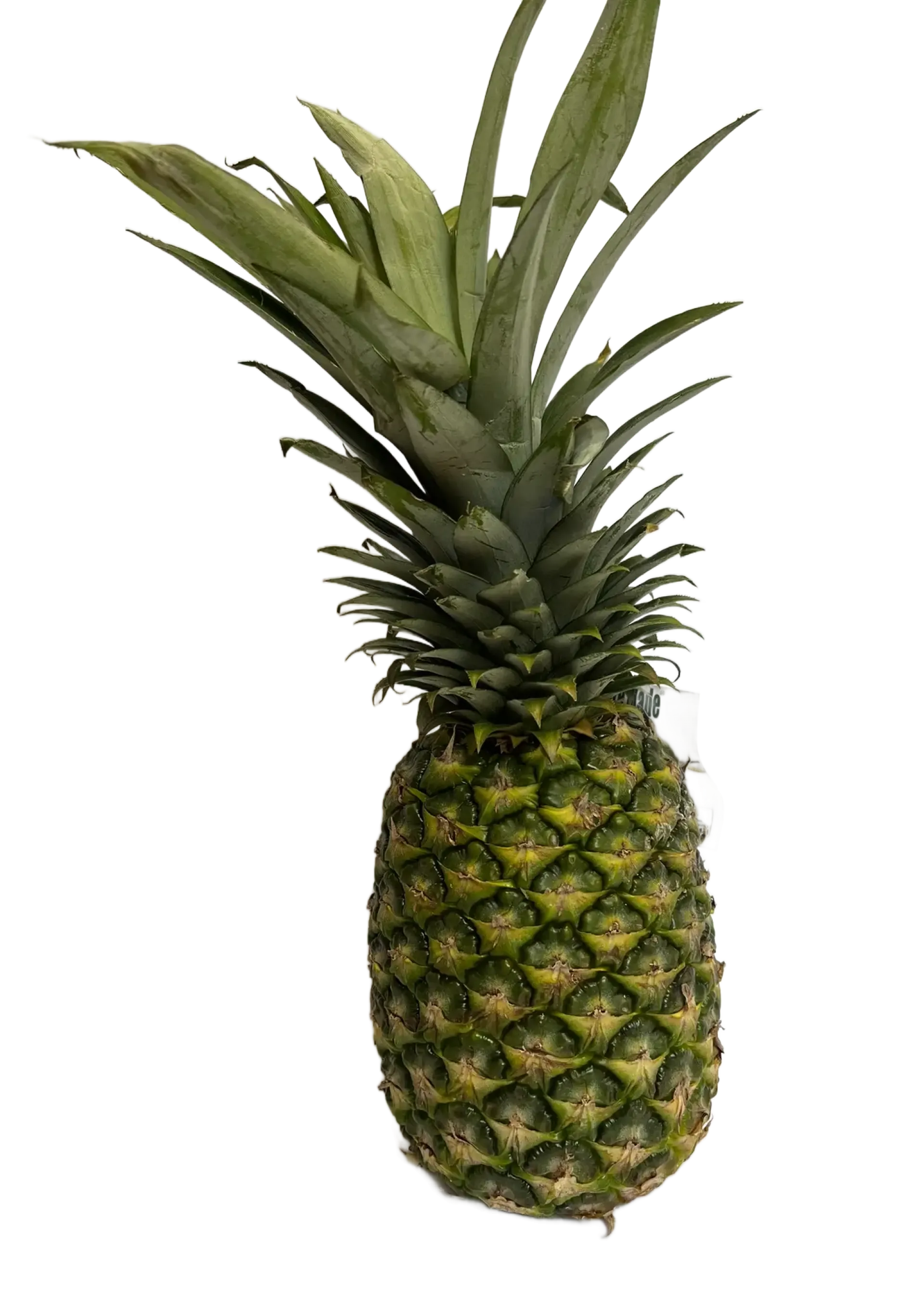 Ananas